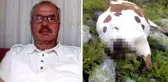 Mucize kurtuluş! Kuyruğundan tuttuğu inek sayesinde yaşama tutundu