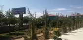 AFYONKARAHİSAR - Vali Çiçek, İscehisar'daki Kadın Kültür Evi'nde incelemede bulundu