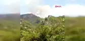 ALANYA'DA ORMANLIK ALANDA YANGIN