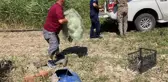 BÜYÜKÇEKMECE'DE KAÇAK AVLANAN 1 TON BALIK GÖLE BIRAKILDI