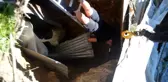 Bolu'da, 3 metrelik çukura düşen ineği itfaiye kurtardı