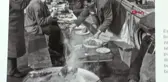 GALATA KULESİ'NDE ARA GÜLER FOTOĞRAF SERGİSİ AÇILDI