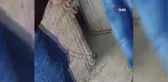 Siverek'teki görüntü hayvanseverleri ayağa kaldırdı