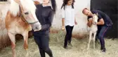 STAJ GÖRDÜKLERİ AT DOĞUM YAPTI