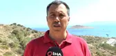 Son dakika haberi | Yangın sonrası Bodrum'da hayat normale dönmeye başladı