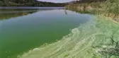 Son dakika haberi... Eymir Gölü de kirlendi