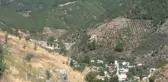 GAZİANTEP - Amanos Dağı eteklerinde boz Antep fıstığı hasadı tamamlandı