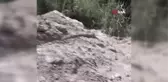 İş yerine giren yılan doğal ortamına bırakıldı