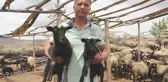 Üç dil bilen turizmci, yurt dışındaki kariyerini bırakıp çobanlığa başladı! Şimdi onlarca hayvanı var