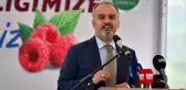 Ahududu hasadı bereketli başladı