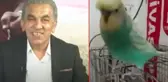 Televizyon tarihinde görülmemiş olay! Sivassporlu muhabbet kuşu spor programı sundu