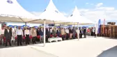 Bursa'nın siyah incisinin hasadına başlandı