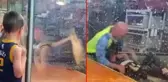 Çocukların gözü önünde korkunç olay! Timsah, terbiyecisinin elini ısırdı