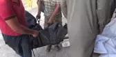 Son Dakika | Esed rejiminin İdlib kırsalındaki saldırısında dört çocuk öldü