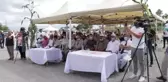 Yerli ve milli silajlık mısır 