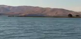 Besin zincirindeki azalma Hazar Gölü'ndeki martı ölümlerini tetikledi