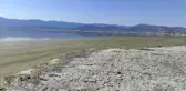 Son dakika... BURDUR GÖLÜ'NDE ALG PATLAMASI
