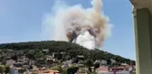 Son Dakika! Heybeliada'da yerleşim yerlerine yakın noktada yangın! Alevler kontrol altına alındı