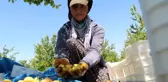 Malatyalılardan 
