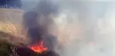 Son dakika... Tekirdağ'da makilik ve ağaçlık alanda yangını