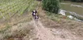 Taş köprü kalıntılarının bulunduğu tarihi alanda kazı yapılacak