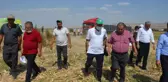 AK Parti Batman Milletvekili Ziver Özdemir mısır hasadına katıldı