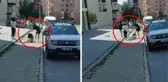 Kızların kavgasına kayda alan vatandaştan garip savunma: Elini sürsen tecavüzle yargılanırsın