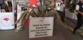 7. Tarım Hayvancılık ve Gıda Fuarı açıldı