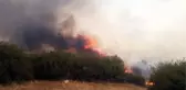 Manisa'nın Kula ilçesinde makilik alanda çıkan yangın ormana sıçradı
