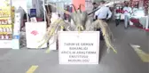 TARIM FUARININ İLGİ ODAĞI ELEKTRİKLİ TRAKTÖRLER OLDU