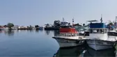 KARADENİZLİ BALIKÇILARIN RADAR TESPİTİNDEN HAMSİ VE İSTAVRİT UMUDU