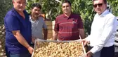 Protokol, köylülerle incir hasadına katıldı