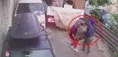 2'si kadın 3 kişi otomobil motorunu böyle çaldı! Hırsızlık anı anbean kamerada
