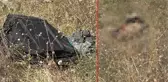 Hastane arazisinde çıplak cansız erkek bedeni bulundu! 3 gün önce kafa travması şüphesiyle hastaneye getirilmiş
