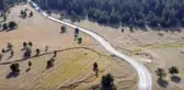 Son dakika haberi: Sarıçam ormanları 