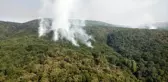 Tunceli'de 2 helikopter ve 1 uçakla yangına müdahale sürüyor
