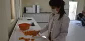 Kuru kayısı lisanslı depoda üreticiye 9 ay faizsiz kredi imkanı sunuluyor