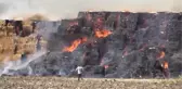 Mısır silajı balyalarının bulunduğu tarlada çıkan yangına müdahale ediliyor (2)