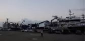 TRABZON'DA 'BALIK AVI' SEZONU TÖRENLE AÇILDI