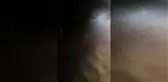 ATV'lerle sahile giren iki kişi caretta caretta yavrularını ezdi, gönüllü turisti yaraladı
