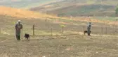 Azerbaycan'ın işgalden kurtarılan kentlerinde 10 aydır karış karış mayın temizliği yapılıyor