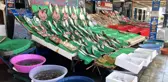 Kumkapı'daki balık tezgahları boş kaldı