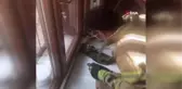 Avcılar'da eve giren yılanı itfaiye ekipleri yakaladı