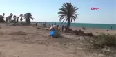 SİLİFKE SAHİLİNDE DENİZ KAPLUMBAĞALARI ALANI TEMİZLENDİ