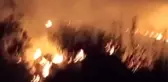 Tekirdağ'da otluk ve ağaçlık yangını