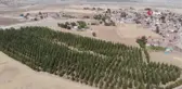 Arabasını satarak büyüttüğü orman mahallesine nefes oluyor