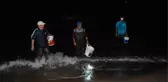KARADENİZ'DE İSTAVRİTLERİ ELLERİYLE TOPLADILAR