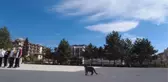Öğrenciler kendilerine dağıtılan mamalarla sokak hayvanlarını besleyecek