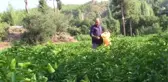 Tescilli Kale biberi, kalitesiyle yurt dışına açıldı