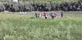 Deneme amaçlı ekilen tıbbi ve aromatik bitkilerin hasadı yapıldı